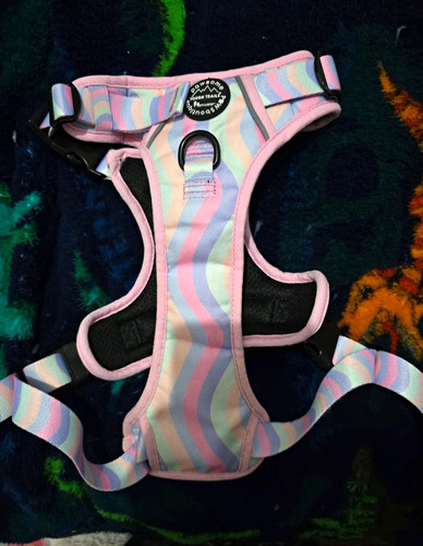 Pawsome boutique large - large, harness