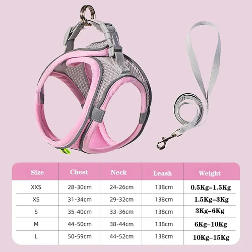 Dog harness leash - dog,