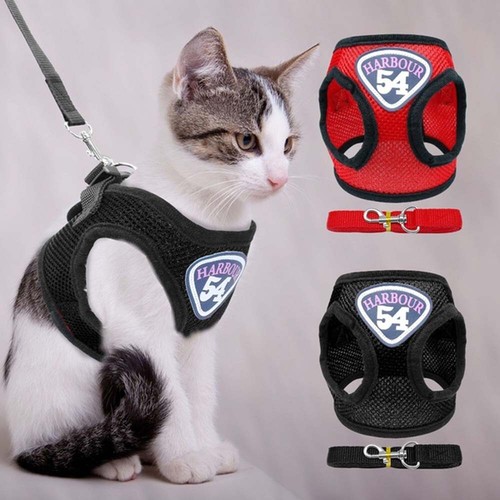 New mesh cat - new,