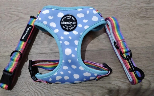 Cute harness and - lead, set