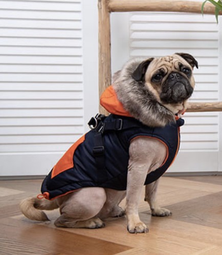 Puppia orson dog - dog, navy