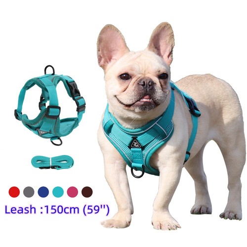 Pull dog harness and leash - pull,