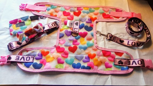 Dog lead and harness set - lead,