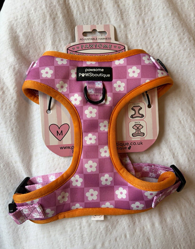 Pawsome paws boutique - pawsome,