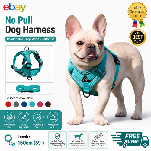 Adjustable dog harness leash - adjustable,
