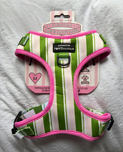 Pawsome paws boutique - paws,
