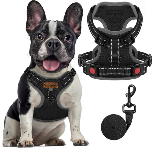 Pull dog harness front clip - pull,