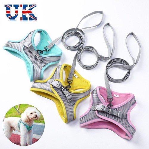 Chihuahua pug bulldog collar - chihuahua,