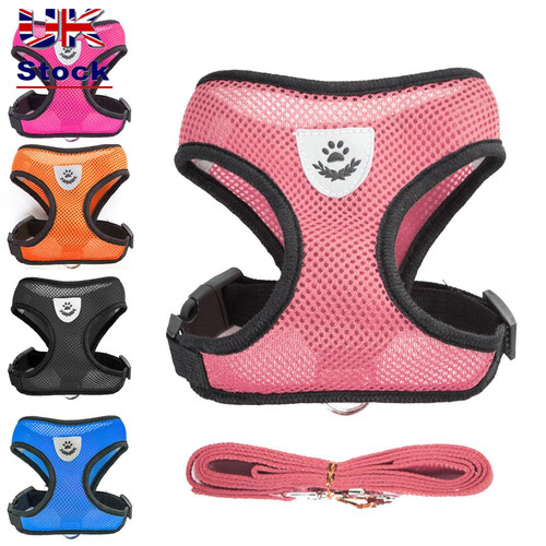 Chihuahua pug bulldog - bulldog, mesh