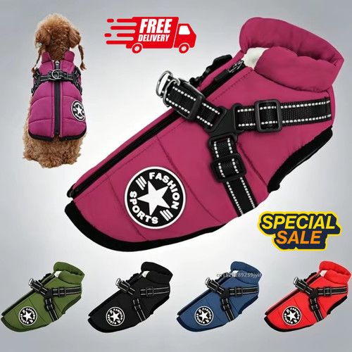 Dog coat waterproof with - dog,