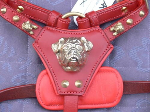 New leather pug - leather-, dog