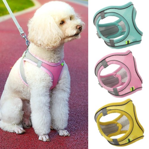 Puppy vest chihuahua pug - vest,