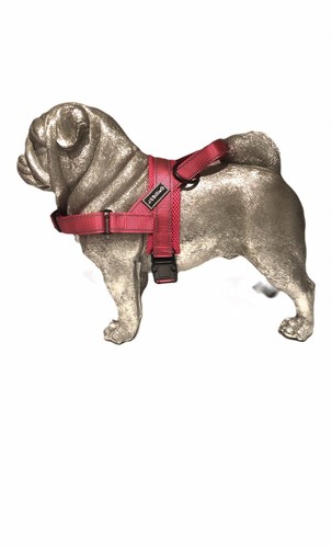 Billieg stylish adjustable - billieg,