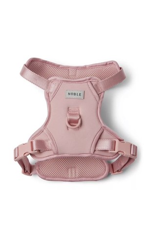 Pink noble pets - at, home