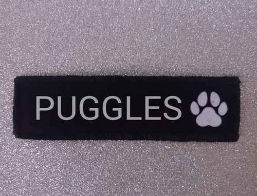 5 puggles pug dog - x,