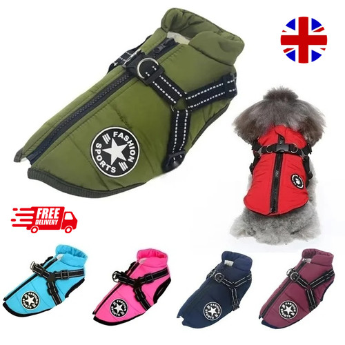 Dog coat waterproof - coat, with