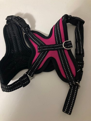 Premium dog harness - premium,