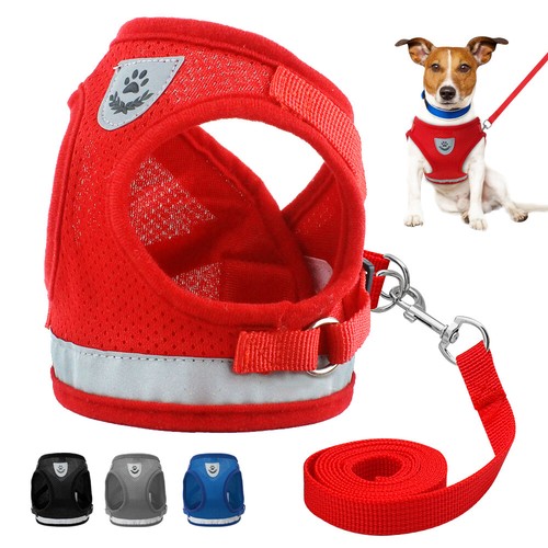 Escape proof dog harness and - proof,