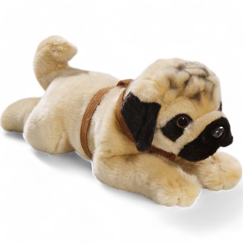 Carl dick pug bulldog with - carl,
