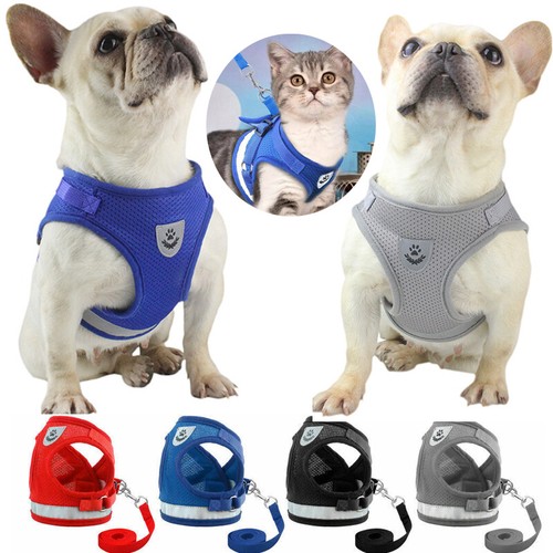 Cat walking jacket harness - cat,