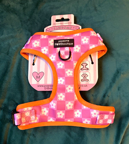 Pawsome paws boutique - pawsome,