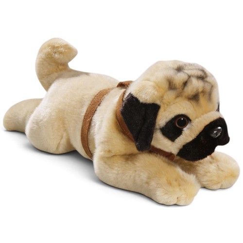 Carl dick pug bulldog - carl,