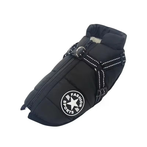 Large pet dog - pet, jacket