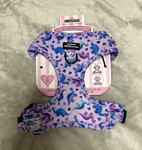 Pawsome paws boutique - paws,