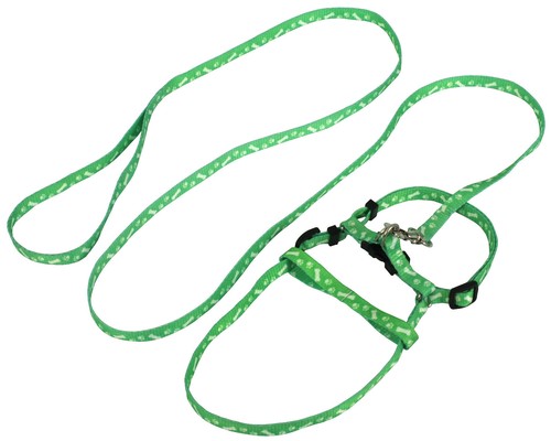 New pet harness - pet, and