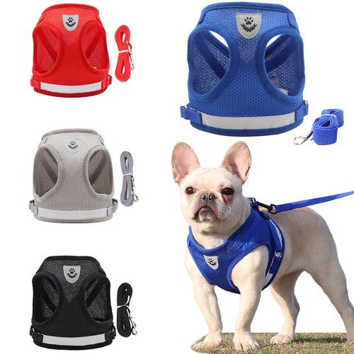 Breathable dog pug harness - pug, pet