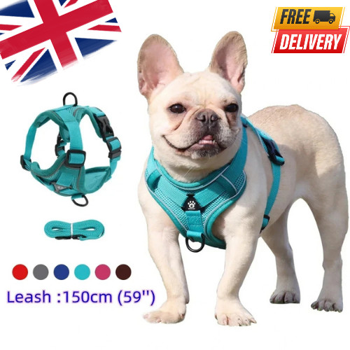 Adjustable dog harness leash - adjustable,