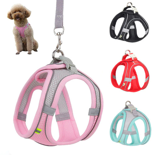 Adjustable dog cat harness - adjustable,