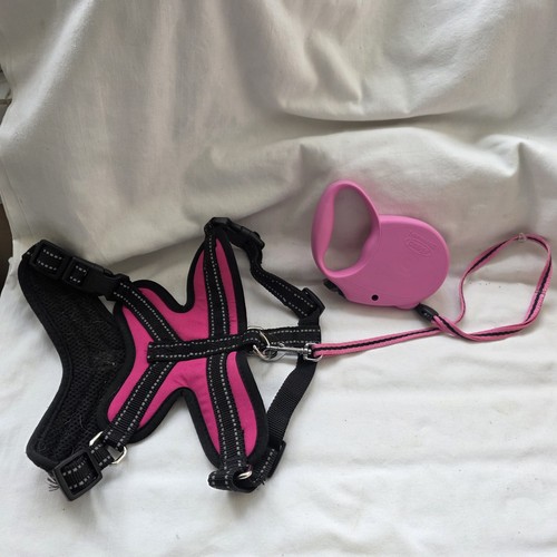 Premium dog harness suitable - dog,